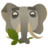 evernote Icon